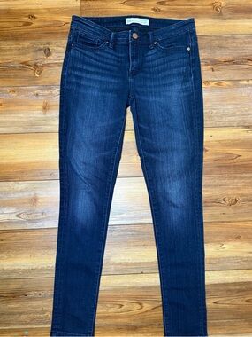 BKE Payton Skinny Jeans Size 27 Dark Wash Mid Rise Stretch